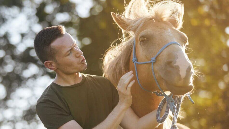 How Equine-Assisted Therapy for Adults Can Boost Emotional Healing
