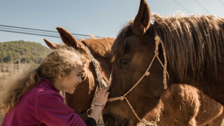 Your Guide to Finding a Therapy Program Using Equine and Expressive Modalities