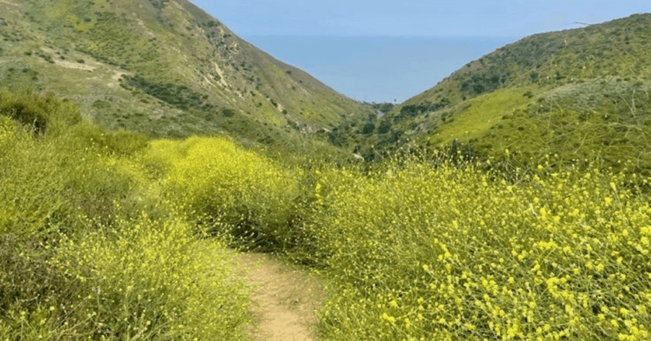 Why Summer is the Best Time for Teen Mental Health Treatment 4 hiking in california Why Summer is the Best Time for Teen Mental Health Treatment